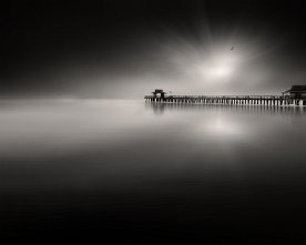 pelican-pier-platinum-sun-bw