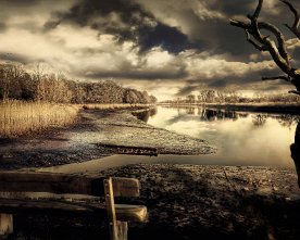 Schilfufer an der Lesum